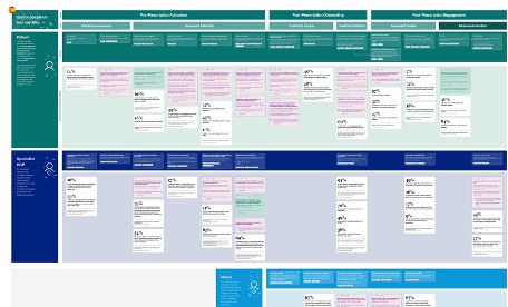 End-to-end journey map across patient, specialist and nurse