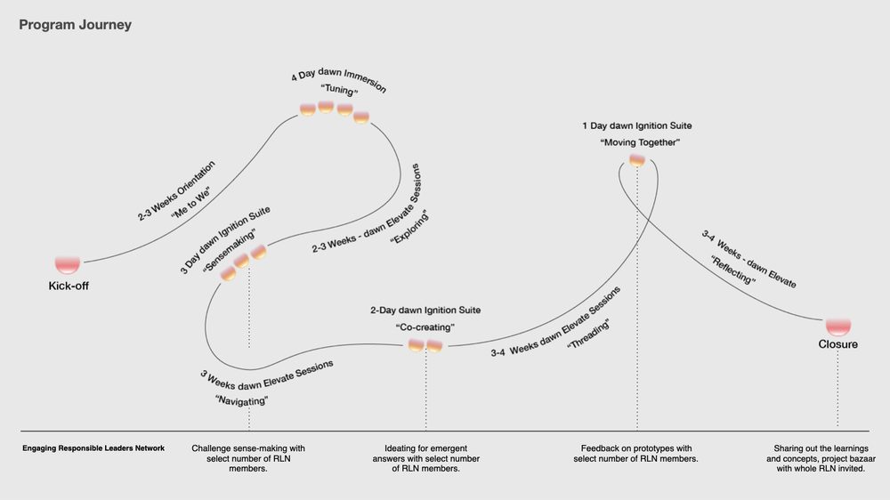 The dawn programme journey map
