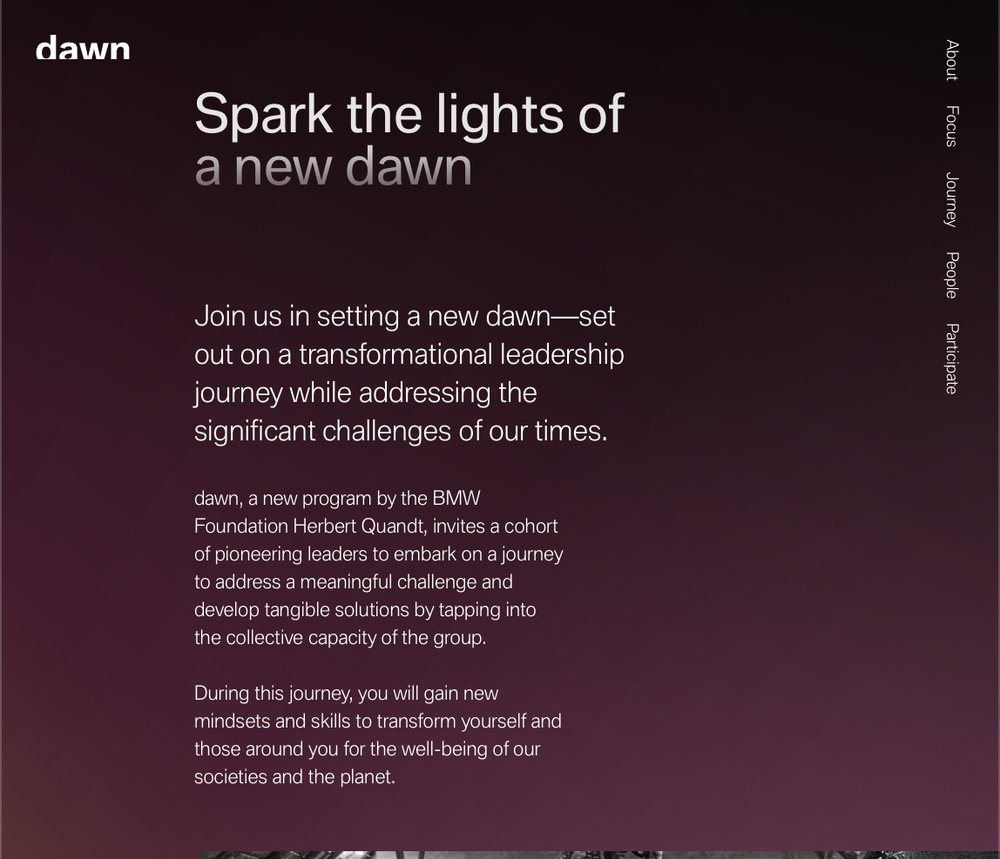 The dawn programme website, a BMW Foundation Herbert Quandt programme